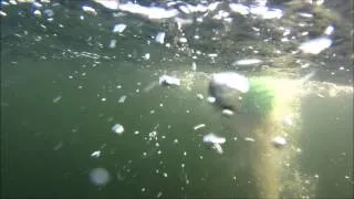 Lucky's underwater cam