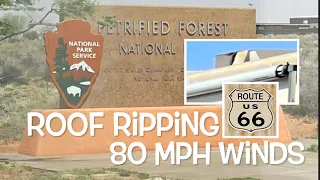 Petrified Forest National Park RVing Review