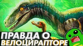 ВЕЛОЦИРАПТОР: факты и правда о самом известном хищнике мезозоя и ошибки Парка Юрского Периода