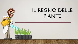 SCIENZE - lezione 9 - Il regno delle piante