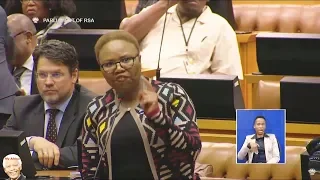 FUNNY LIndiwe Zulu "Ginger" vs DA on Parliament Rules