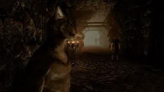 Can the dragonborn pass the tunnel in Helgen by whirlwind sprint? Skyrim Anniversary Edition