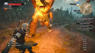 The Witcher 3 - I screamed the whole time