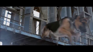 A Dog's Purpose Movie Trailer 2