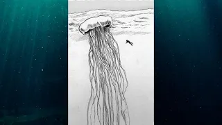Why Giant Jellyfish are the SCARIEST Cryptid