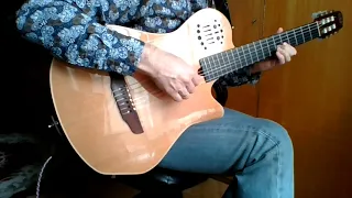 Blue canary (Vincent Fiorino) guitar cover