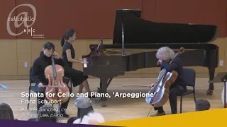 Steven Isserlis Master Class: Schubert "Arpeggione" Sonata Mvt. 2