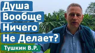 ДУША ВООБЩЕ НИЧЕГО НЕ ДЕЛАЕТ? • ВАСИЛИЙ ТУШКИН