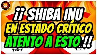 🚨 SHIBA INU ESTÁ JUGANDO CON FUEGO - OJO AL CEO DE SHIBA !! ✅