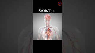 Cholesterol " Looks like I have listened it before !. let's watch what's it ? Types and Function !