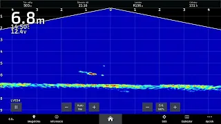 Panoptix Live Scope System - LVS 34 + GPS Map 8412 xsv - 5 kg Catfish Fight / 5 kg - os harcsa kapás