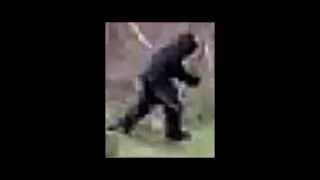 Bigfoot Caught on ATV Track?