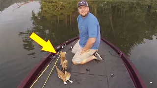 Two men went fishing and ended up rescuing abandoned kittens