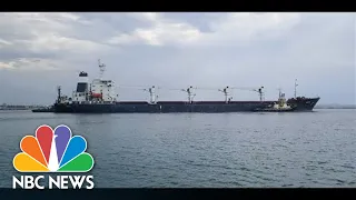 First Grain Ship Leaves Ukrainian Port After Months Of Russian Blockade