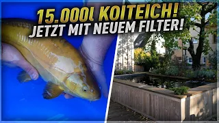 Die Schnauze voll gehabt! Koiteich umgebaut von Bürsten- auf Trommelfilter! Fische wachsen sehr gut!