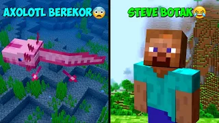 35 Fakta Unik Tentang Update yang Pernah Ada di Minecraft!!