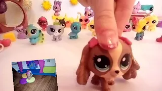 Littlest Pet Shop - Silvestr (speciál) - mé první video