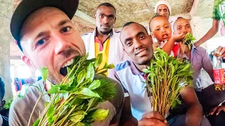 The STRANGE PLANT everyone is eating in Ethiopia