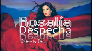Rosalia - Despechá (Techno House Circuit Remix, Bootleg by Félix)