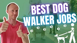 3 Best Dog Walker Jobs – $30+ Per Walk! (Yes, It Is Possible)