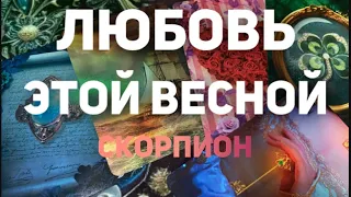 ❤️СКОРПИОН. Таро прогноз- Личная жизнь - Март/Апрель/Май 2024. Расклад от Татьяны КЛЕВЕР🍀