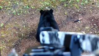 Saskatchewan black bear hunt Bearadise Bay