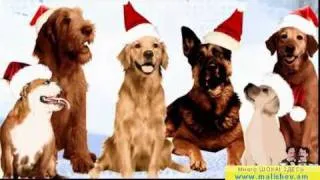 Собаки поют Новогоднюю Песню! Dog sing song New Year!