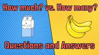 How much? How many? Countable/Uncountable Nouns/ Questions and Answers