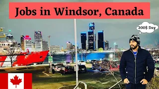 Jobs in Windsor, Canada 🇨🇦 || Reality of Part-Time jobs in windsor || International students