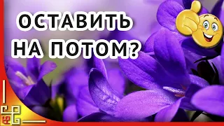 Пожелание друзьям. Не оставляйте счастье на потом! Современная поэзия