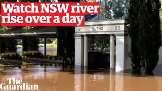 NSW flooding: watch the Lachlan River rise over a day near Forbes