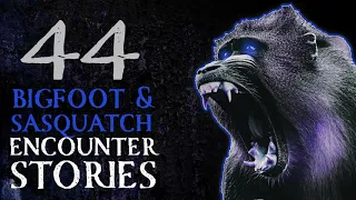 44 TTRUE SCARY STORIES - BIGFOOT HORROR STORIES