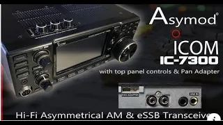 Asymod-Icom IC-7300 Links and info