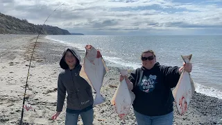 Can We Catch Limits Of Halibut From Shore? Surf Fishing Alaska