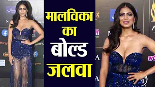 Malavika Mohanan steals the limelight in bold dress at IIFA 2019 green carpet; Watch video FilmiBeat