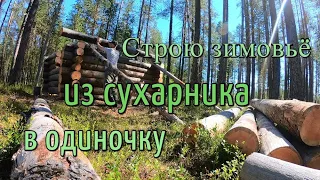 Сруб своими руками.Азы рубки №3