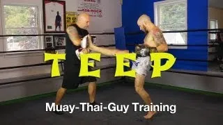 How To Throw A Teep/Push Kick Tutorial - Basic Muay Thai Techniques