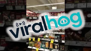 Snake Slithers Out From Supermarket Shelf || ViralHog