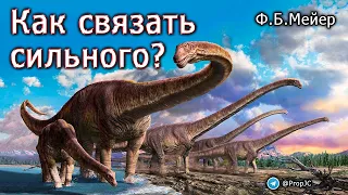 Как связать сильного?