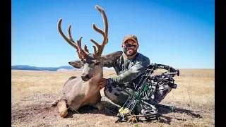 CHAD MENDES' OREGON MULE DEER HUNT: ARCHERY SPOT AND STALK