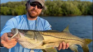 Paddle Tail Lures: How To Retrieve Them To Catch More Redfish, Snook, & Seatrout