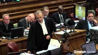 Oscar Pistorius appears to change defense under cross examination