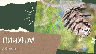 Абхазия | Пицунда | Лечебный курорт | Аквапарк Пицунда | Отдых с детьми в Пицунде | Целебный воздух