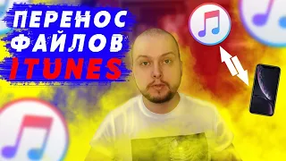 Перенос файлов iTunes | Копируем iPhone на диск D | Самый простой способ