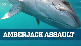 Monster Amberjack - Florida Sport Fishing TV - Tackling The Strongest Reef Fish