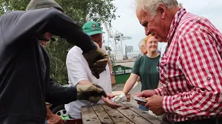 Kalfaterkurs mit Bernd Thal