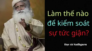 Làm sao để tránh khỏi cơn giận dữ? - Học từ Sadhguru #8