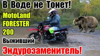 MotoLand FORESTER 200 2021г. Бюджетней самого дешевого эндуро! Review and test drive universal moto