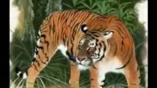 Extinct tiger subspecies (with music)