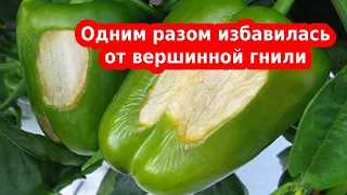 Одним махом избавилась от вершинной гнили